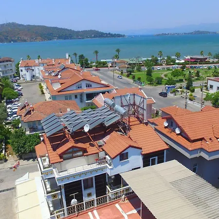 Kayı 2*